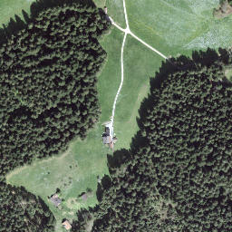 Satellite imagery of Leenhubel, CH