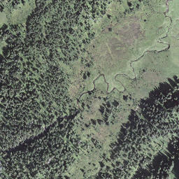 Satellite imagery of Trogenegg, CH