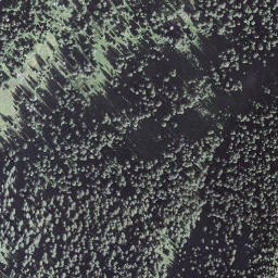 Satellite imagery of Grüenengütsch, CH