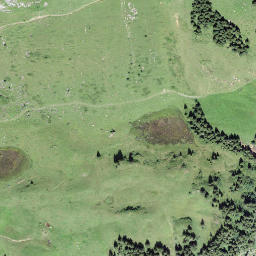 Satellite imagery of Bärenstock, CH