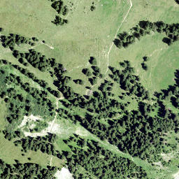 Satellite imagery of Hinter Lerch, CH
