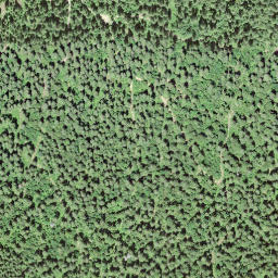 Satellite imagery of BFN176, CH