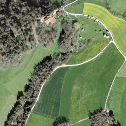 Satellite imagery of Lisiberg, CH