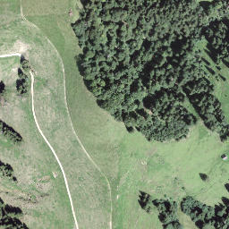 Satellite imagery of Rämisgummehoger, CH