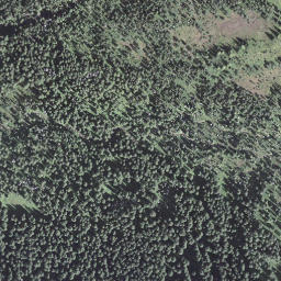Satellite imagery of Miesenegg, CH