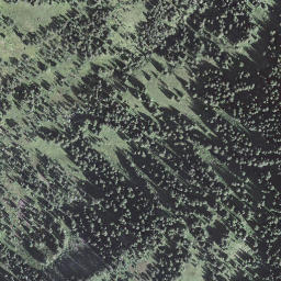 Satellite imagery of Trogenegg, CH
