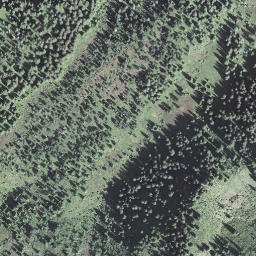 Satellite imagery of Riedmattstock, CH