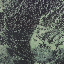 Satellite imagery of Riedmattstock, CH
