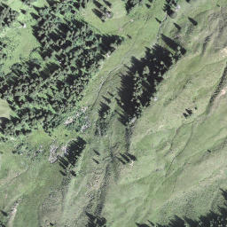 Satellite imagery of Grüenengütsch, CH