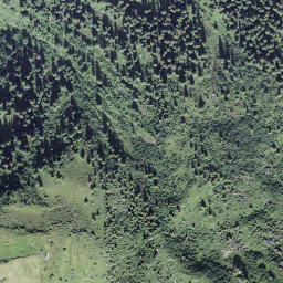 Satellite imagery of Bietstöck, CH