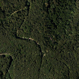 Satellite imagery of C.125.6., SI