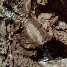 Satellite imagery of Mowich Face, US