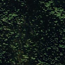 Satellite imagery of Fern Ridge, US