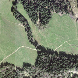 Satellite imagery of Trachselegg, CH