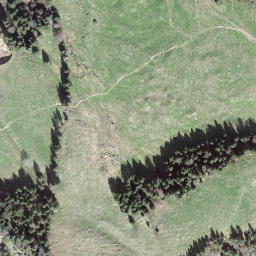 Satellite imagery of Pfyffer, CH