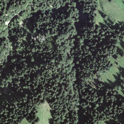 Satellite imagery of Pfyffer, CH