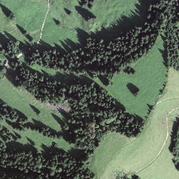 Satellite imagery of Balmegg, CH