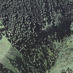 Satellite imagery of Miesenegg, CH