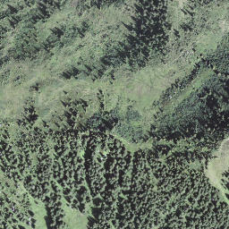 Satellite imagery of Riedmattstock, CH