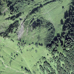 Satellite imagery of Türlisegg, CH