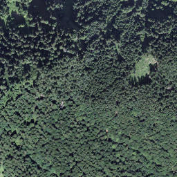 Satellite imagery of Türlisegg, CH