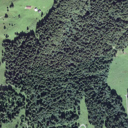 Satellite imagery of Chli Rimistock, CH