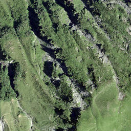 Satellite imagery of Laubgrinden, CH