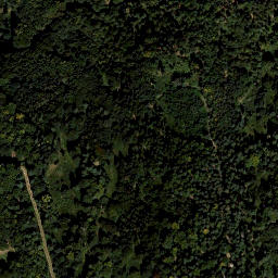Satellite imagery of Buchkogel, AT