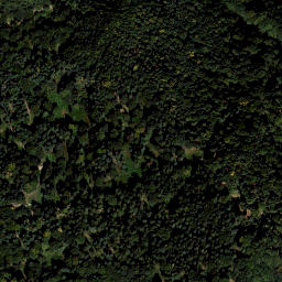 Satellite imagery of Buchkogel, AT