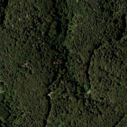 Satellite imagery of I/2, SI
