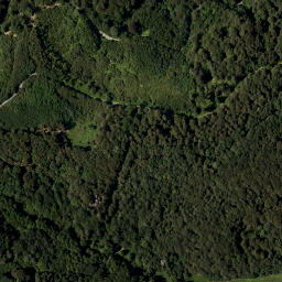 Satellite imagery of C.125.9., SI