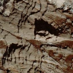 Satellite imagery of Mowich Face, US