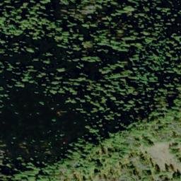 Satellite imagery of Fern Ridge, US