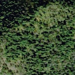 Satellite imagery of Fern Ridge, US