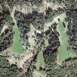 Satellite imagery of Trachselegg, CH