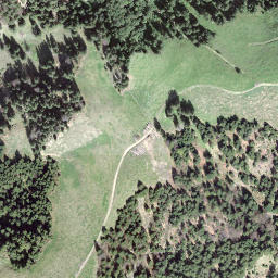 Satellite imagery of Pfyffer, CH