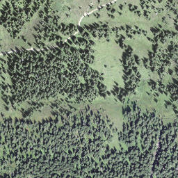 Satellite imagery of Miesenegg, CH
