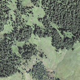 Satellite imagery of Riedmattstock, CH