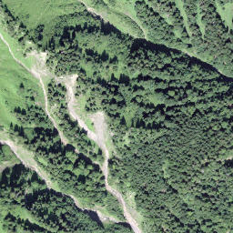 Satellite imagery of Türlisegg, CH