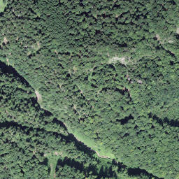 Satellite imagery of Türlisegg, CH