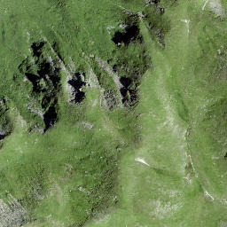Satellite imagery of Laubgrinden, CH