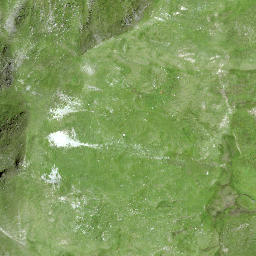 Satellite imagery of Laubgrinden, CH