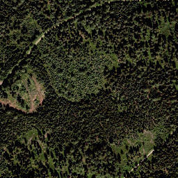 Satellite imagery of Wildbach Alpe, AT