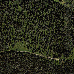 Satellite imagery of Wildbach Alpe, AT