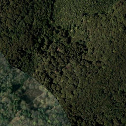 Satellite imagery of C.125.15., SI