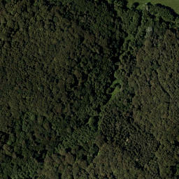 Satellite imagery of C.125.9., SI