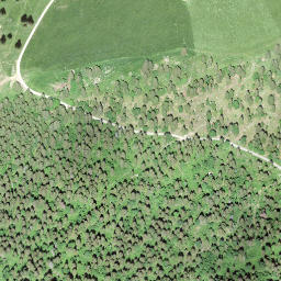 Satellite imagery of Crêt de la Neige, CH