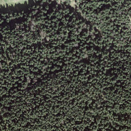 Satellite imagery of Ringgis, CH