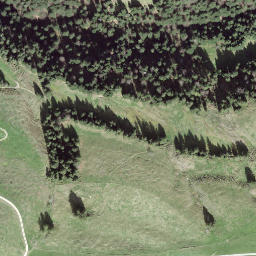 Satellite imagery of Trachselegg, CH
