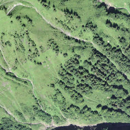 Satellite imagery of Türlisegg, CH